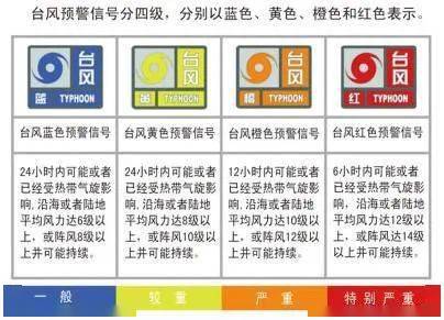 全面解析与产品评测，最新限号尾号指南