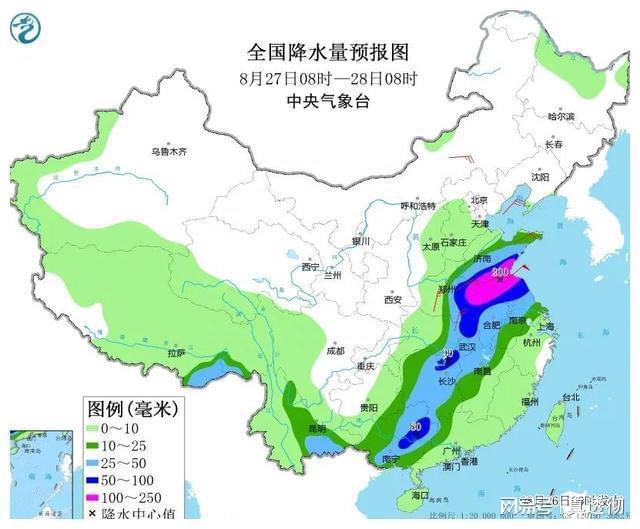 江浙沪闽极端降水背后的励志故事，雨中坚持与变化的力量