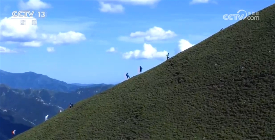 最新原纸网带你探索自然美景，心灵宁静之旅启程