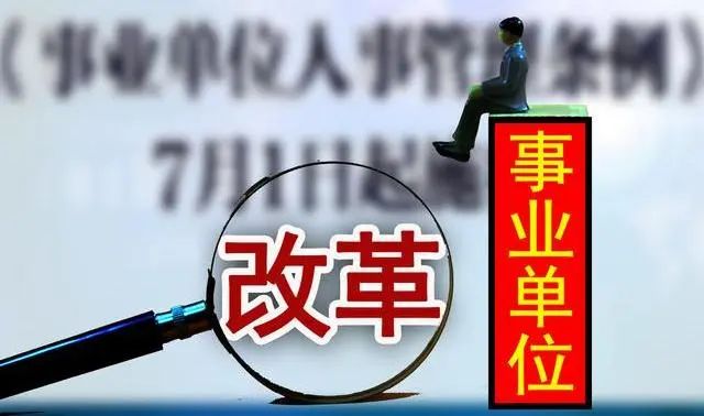 11月1日事业单位改革最新方案及其多维度探析与观点阐述