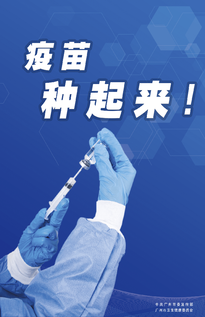 广州最新凶杀案，深度解析与反思