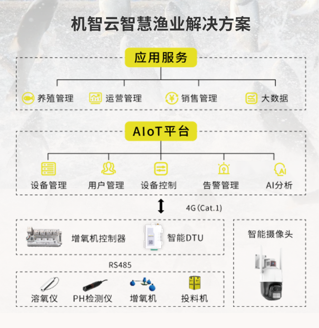 管家婆澳门免费公开图,创新思路措施解释解答_银行集54.452