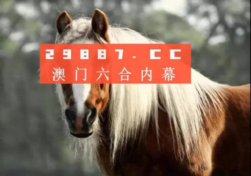 澳门最准一肖一码一码公开,全面解答解释实施_自行版18.771