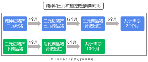 钟姿精选 第674页