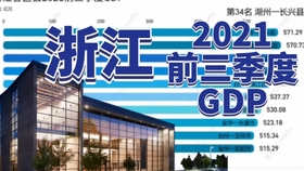 2024年正版资料免费大全一肖,严密解答执行落实_HDR78.86