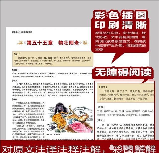 正版全年免费资料大全下载网,合理解释解答落实_进修版41.257