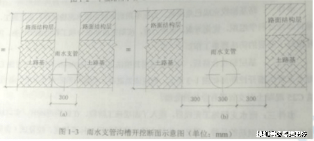 花仙子精准资料图,现行解答解释落实_动态版71.725