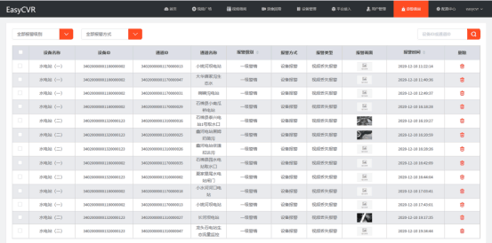 2o24澳门今天晚上开什么生肖,方案分析迅速执行_专家型34.561