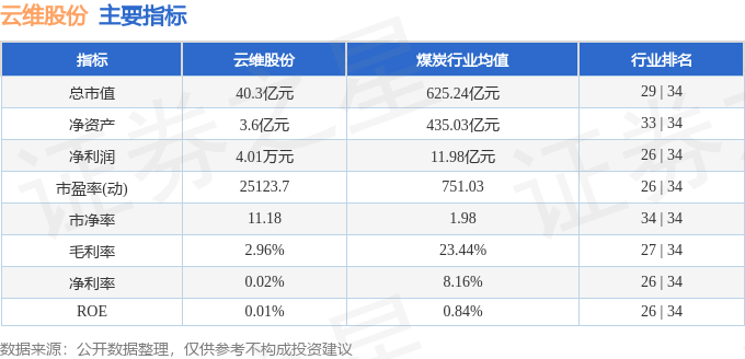 云维股票背后的故事，友情与陪伴的奇妙旅程（最新消息）