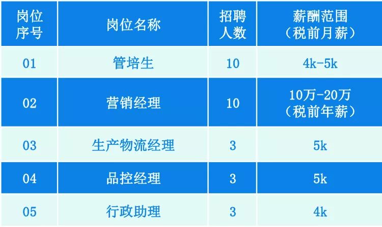 2024新澳兔费资料琴棋,决策资料落实_力量版NAB700.81