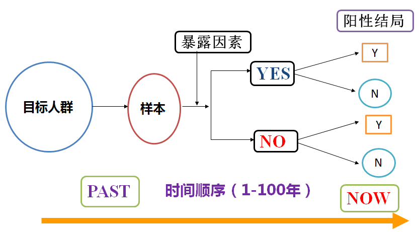 2024年新奥正版资料免费大全,最新研究解析说明_标准版244.52