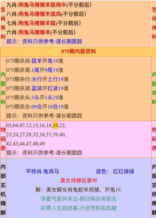 2024年正版资料免费大全一肖,动态词语解析_便携版489.32