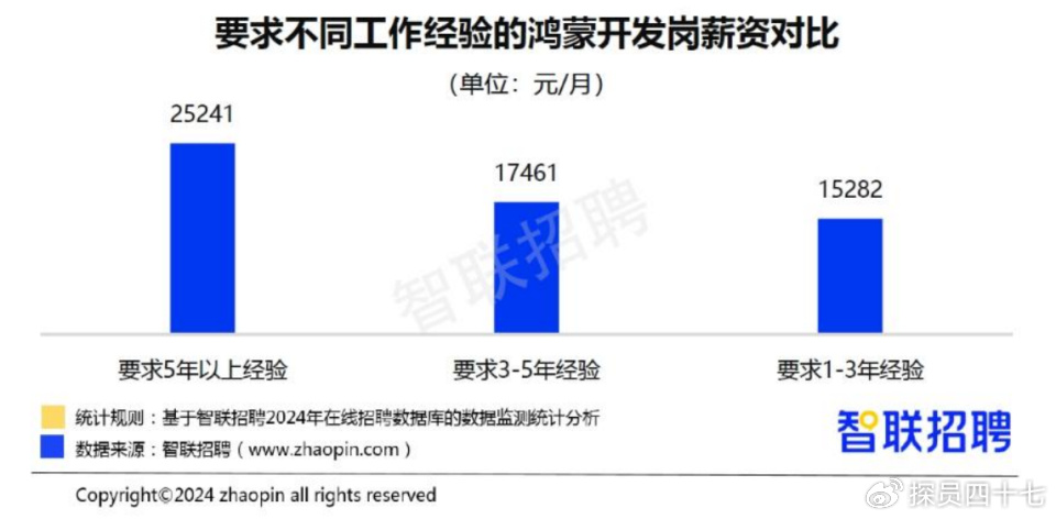 2024龙门视窗最新应聘指南，把握职场新机遇的全面解析