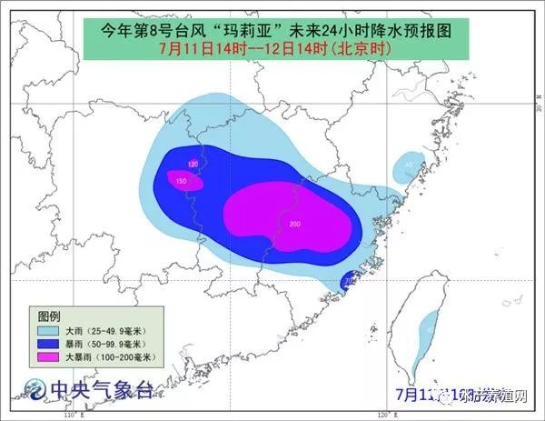 福建台风后的宁静美，台风最新消息与冰雹下的心灵之旅