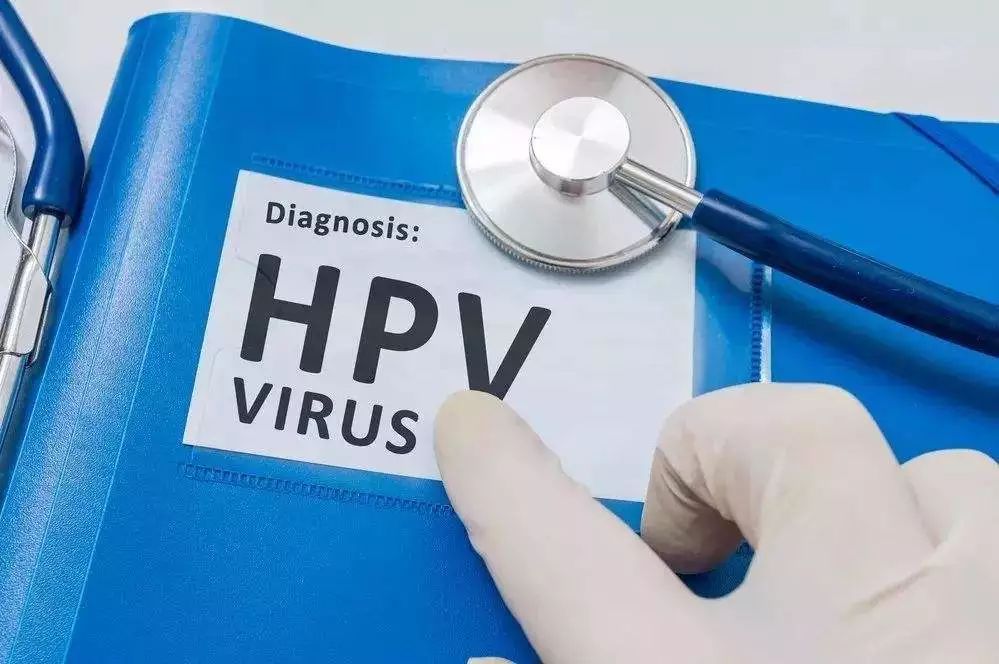 新奥门特免费资料包：管家婆料深度安全策略分析_HPV907.25版