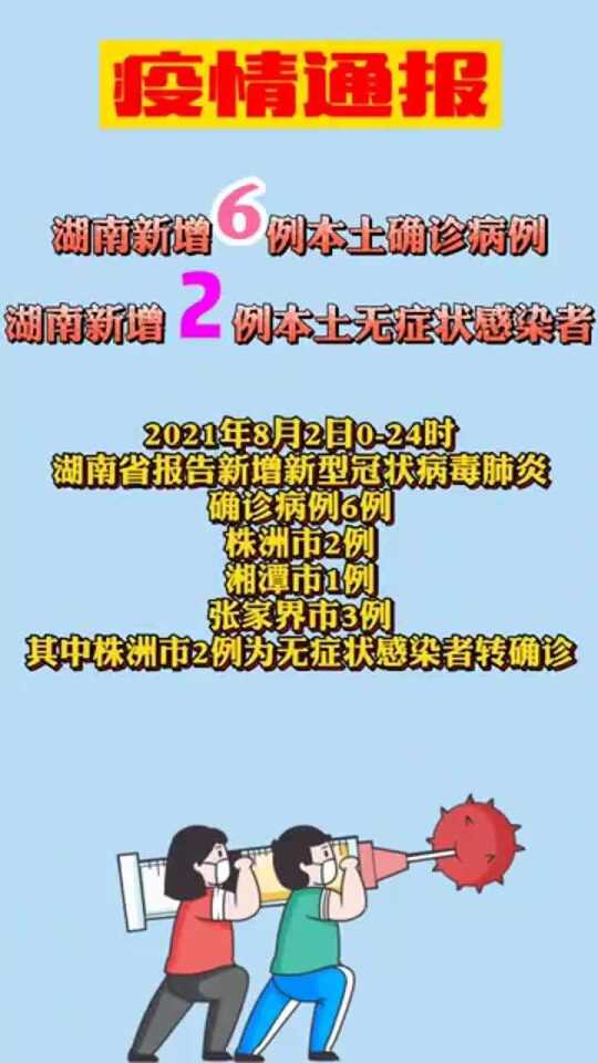 湖南省本周疫情最新通报，最新动态与要点解析