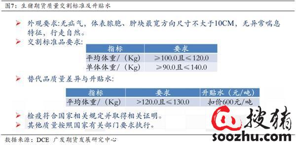 “免费赠送最新版新澳正版资料，PXF107.38纪念版详解规则”