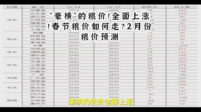 最新损益表深度解析，全面评测与详细介绍（11月10日版）