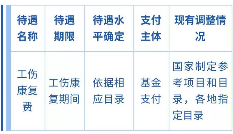 11月保险政策详解与操作指南，轻松完成保险配置任务