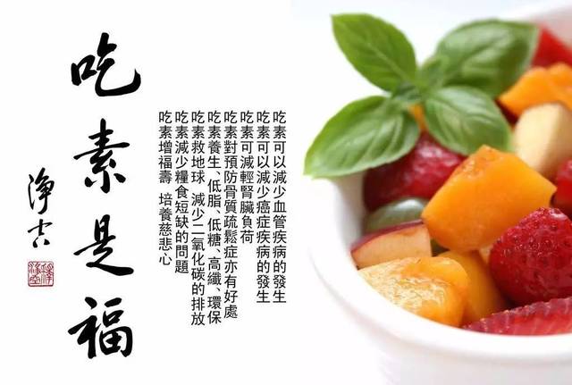 11月素食盛宴，探秘小巷深处的福祉动画，品味素食新篇章