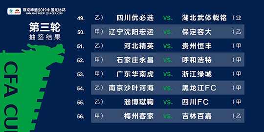 2024年新澳精准特马资料指南，数据驱动策略实施_RWH62.215精英版