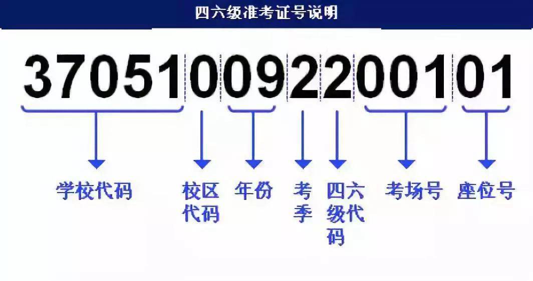 澳门权威信息免费分享，详尽解答方案解析_ODQ74.302明亮版