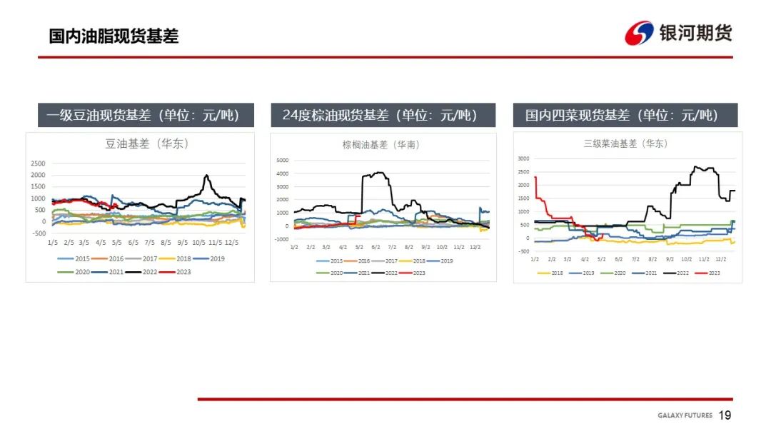 深度解析，最新动态下的刀马旦影响及未来前景展望（最新报道）