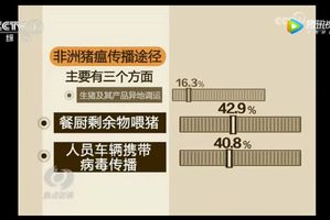 三期内必出特一肖免费,解析解释说法_EQA10.657持久版