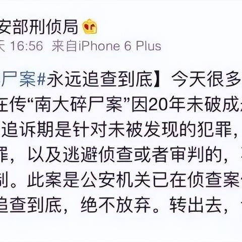 南大碎尸案最新线索揭秘，追寻真相与自然之旅，信心满满破案在即