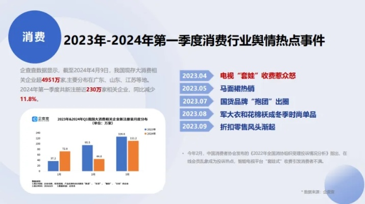 2024年11月17日网络舆情事件解析，热点深度探讨与影响