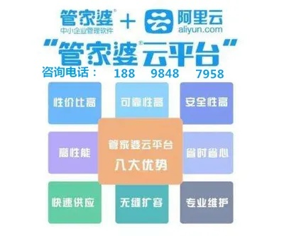 管家婆精准资料免费大全香港,深入指导解答说明_UUB4.74.27闪电版