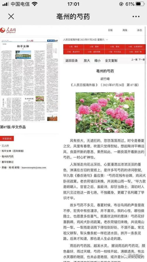 三期必开一期三期必出特含义,专业手册解答指导_JEA9.37.84智巧版