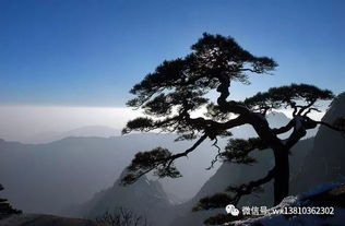 11月最新奇遇，黄山秘境探幽，小巷深处的独特风味