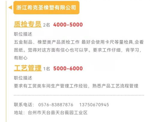 往年11月17日惠安县城最新招聘信息，重磅更新往年11月17日惠安县城最新招聘信息大揭秘，求职者的福音来啦！