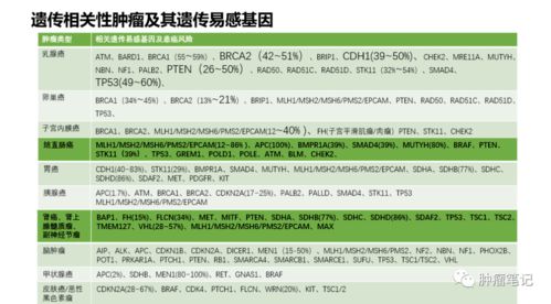 2024新奥正版资料免费,全面探讨解答解释步骤_XJT7.58.22界面版