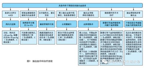 新澳门正版免费资料怎么查,简化流程落实评估_VYA8.31.69内容版