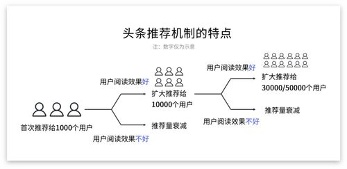 新闻 第384页