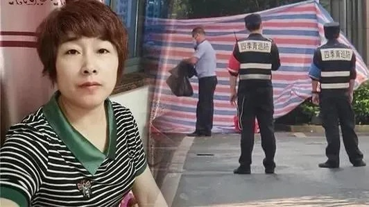 杭州来女士遇害事件揭秘，智能安全先锋重塑生活安全新篇章，最新科技产品揭秘与事件进展追踪（2024年11月19日）