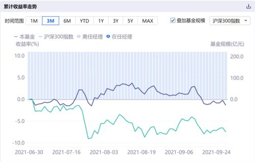 特色小店基金净值揭秘，小巷宝藏背后的故事与最新净值查询（2024年11月19日）