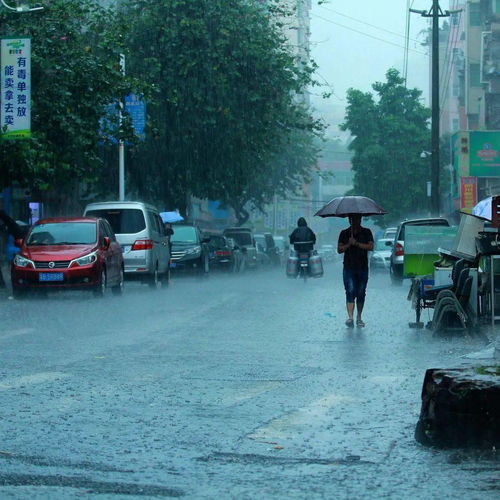 历史上的11月19日绵阳暴雨，记忆与深远影响揭秘