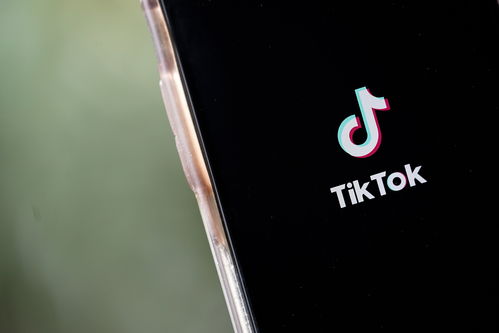 11月TikTok在美国，增长、挑战与未来趋势的探索