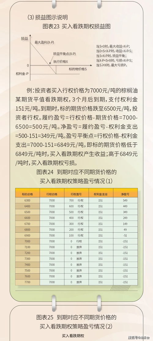 2024年度好运指南：2024年11月19日实用解答与执行细则_ZET5.55.72试点版