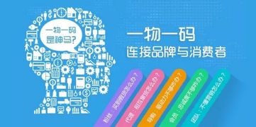 澳门一码一肖一特一中管家婆，2024年11月19日灵活解读数据_CVO1.31.37日常版