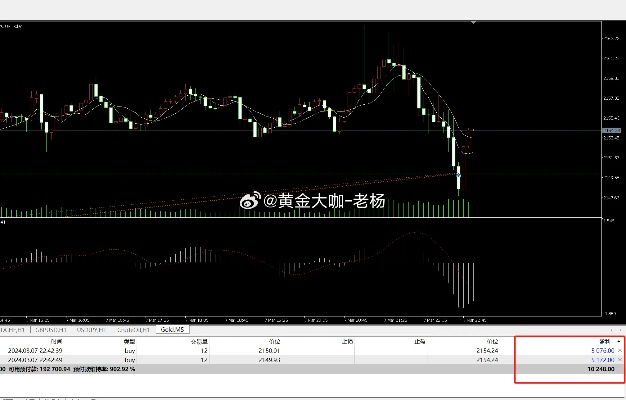 高精度一肖一码—子中特7955 资源整合策略实施_BST5.62.81梦幻版