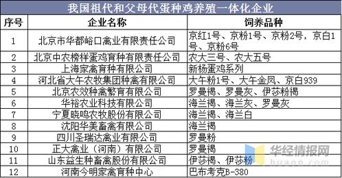 免费一码公开解析：深入剖析历史上的11月19日 - DZH6.51.29参与版