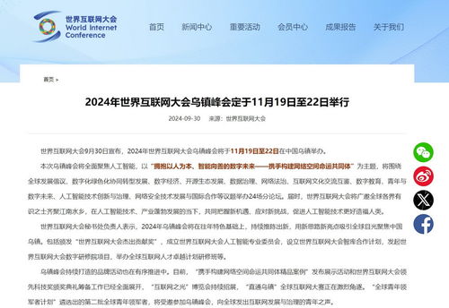 中保研日常，友情、探索与温馨时光（2024年11月19日最新）