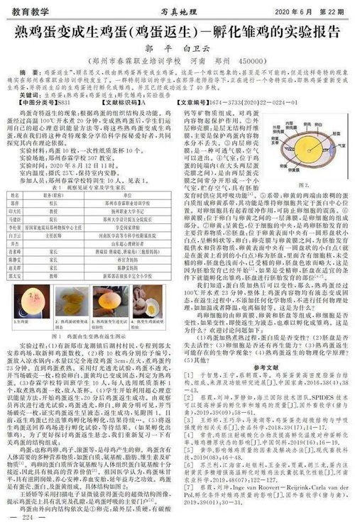 如何查找新奥门正版免费资料：深入解析往年11月19日的研究路径_LDX7.69.42策展版