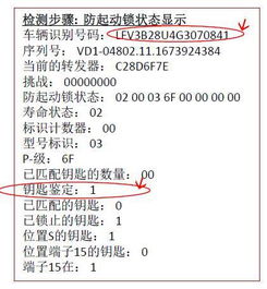 白小姐四肖四码100%准确度解析，11月19日深入解读_UNI6.75.26创新版本