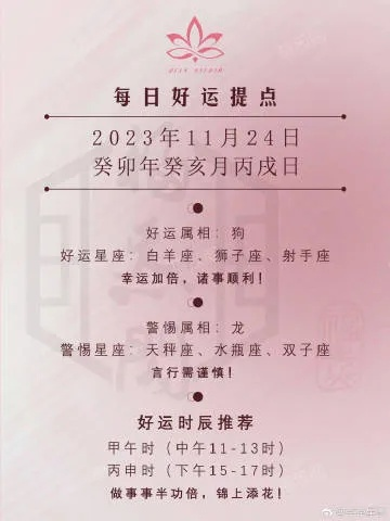 2024年每日好运资料，11月19日智慧解析方案执行_IHX8.78.93铂金版