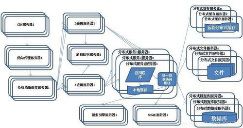 澳门精准三码分析系统：11月19日数据决策解析_ONV4.58.84怀旧版